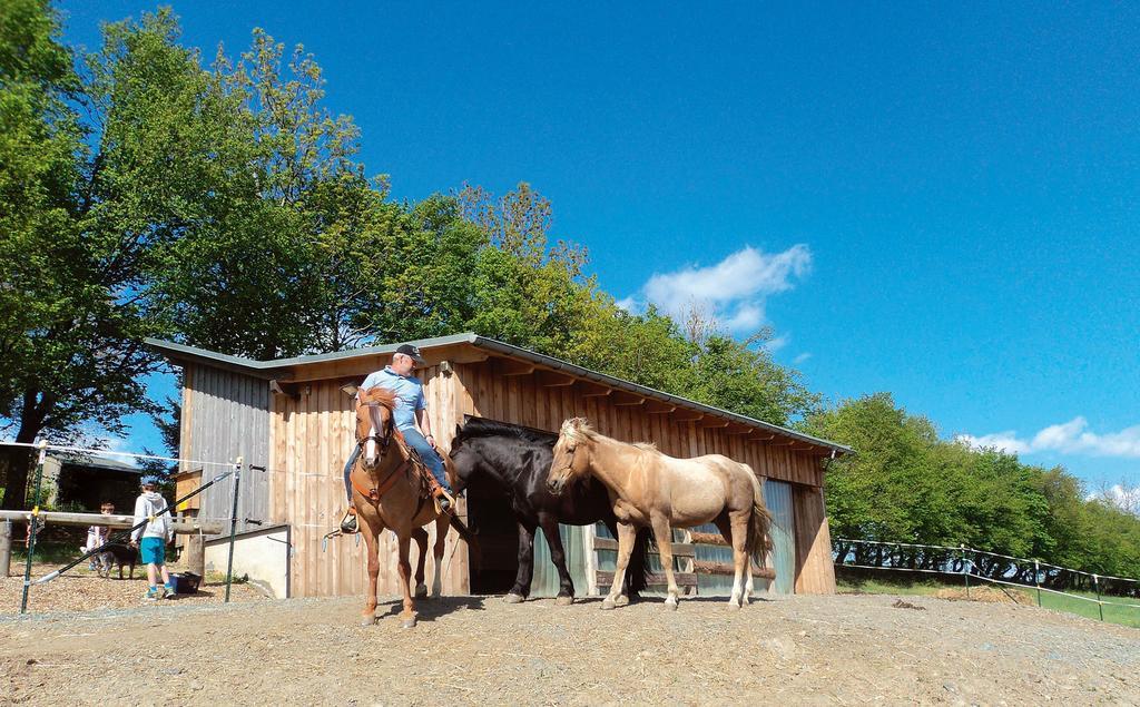 Landgasthof Dittersdorfer Hoehe Amtsberg Exteriér fotografie