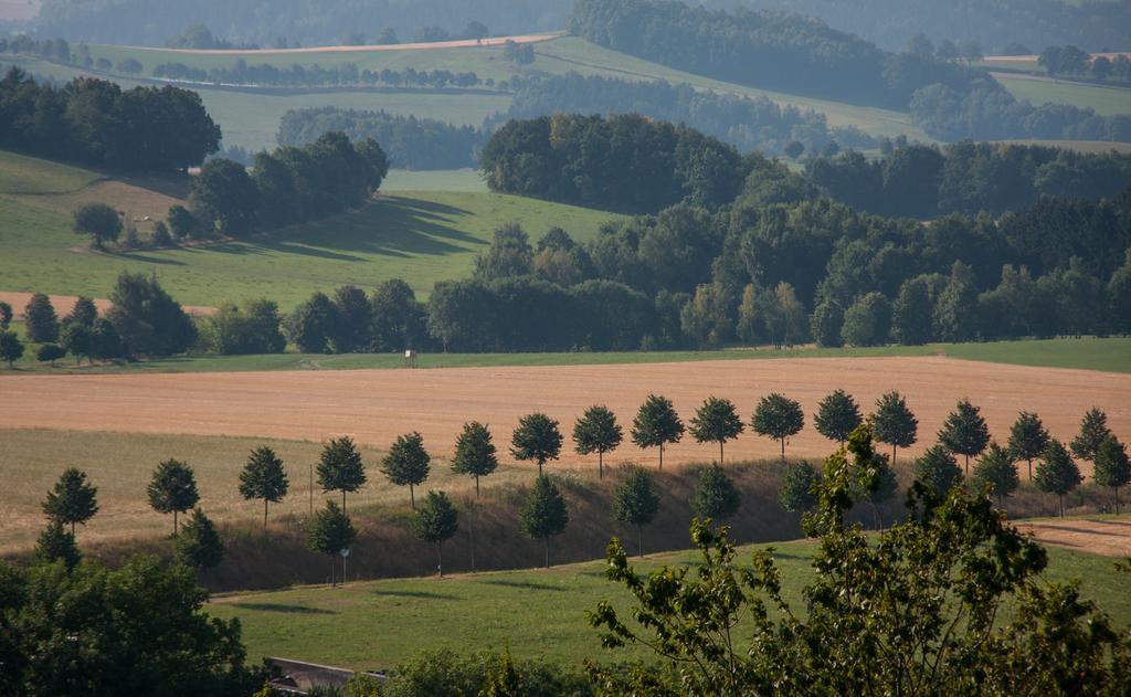 Landgasthof Dittersdorfer Hoehe Amtsberg Exteriér fotografie